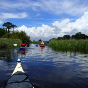 Jekyll Island Kayak Tours