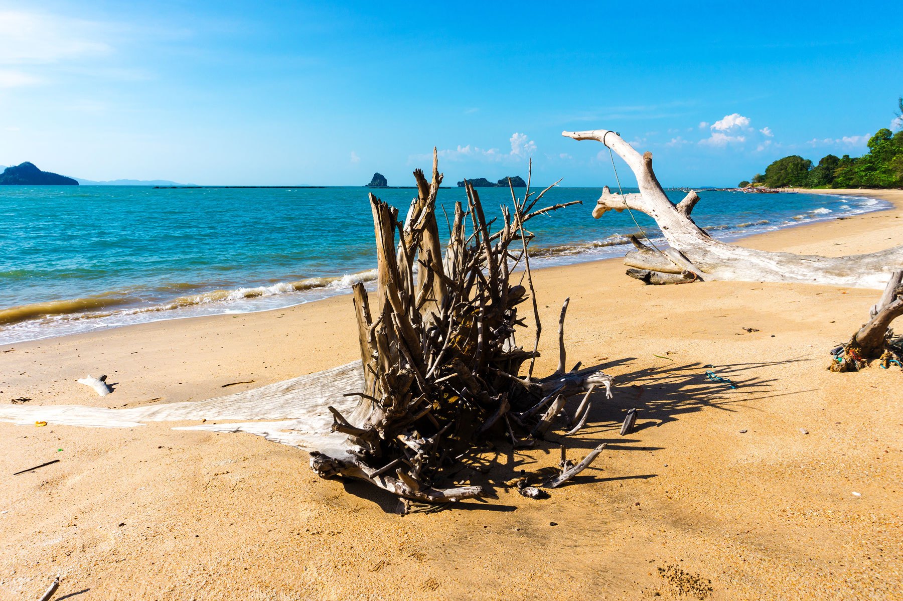 Jekyll Island Tide Chart & Schedule | Jekyll Realty