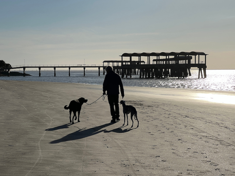 A man walks his whippet and Lab on a beach on Jekyll Island, a luxury slow travel destination in the southern United States.