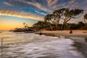 Jekyll Island in the winter months