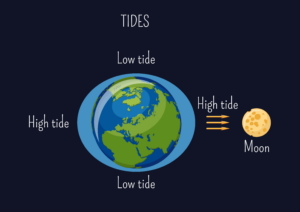 high tide and low tide diagram