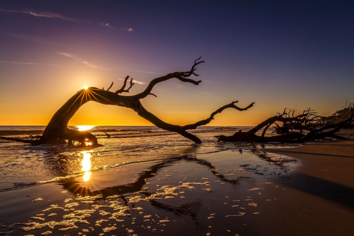 Jekyll Island driftwood and ocean