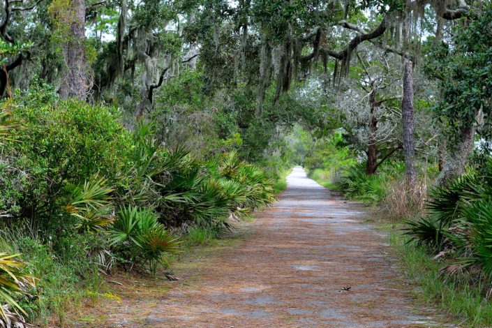 Jekyll Island walking path