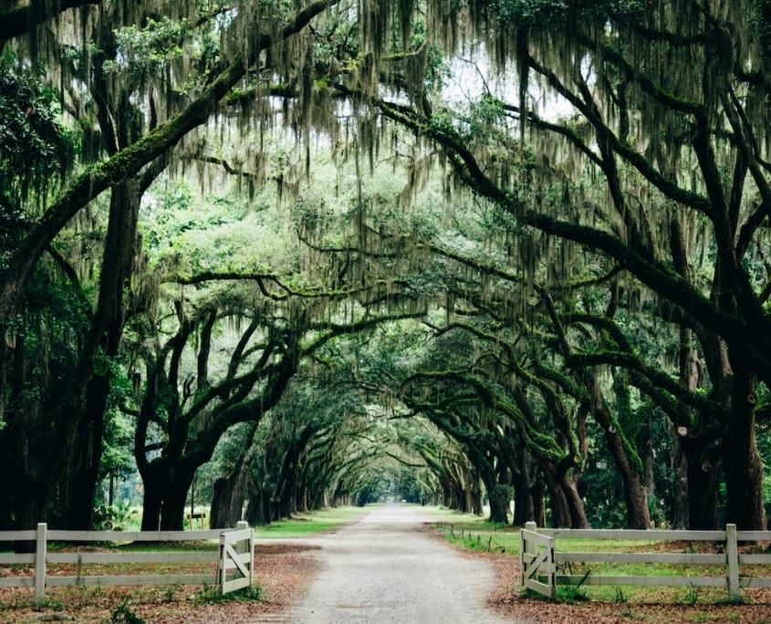 Savannah GA